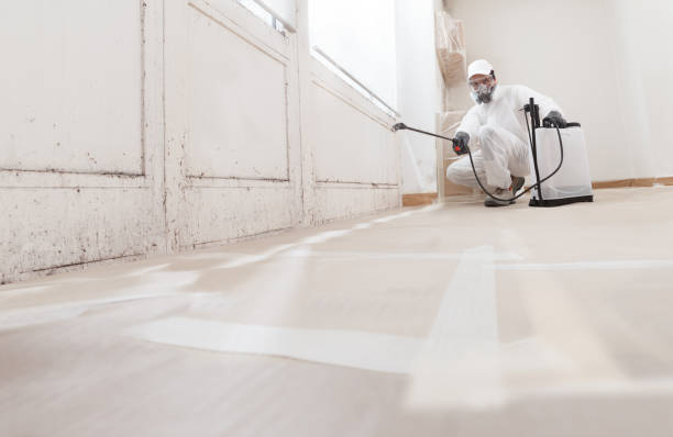 24/7 Emergency Mold Inspection experts in San Antonio, FL