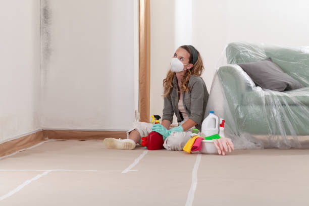 Reliable Mold Inspection contractor in San Antonio, FL by WQB Mold Removal